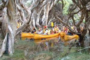 Canoe-trip-on-the-Margaret-River-300x200