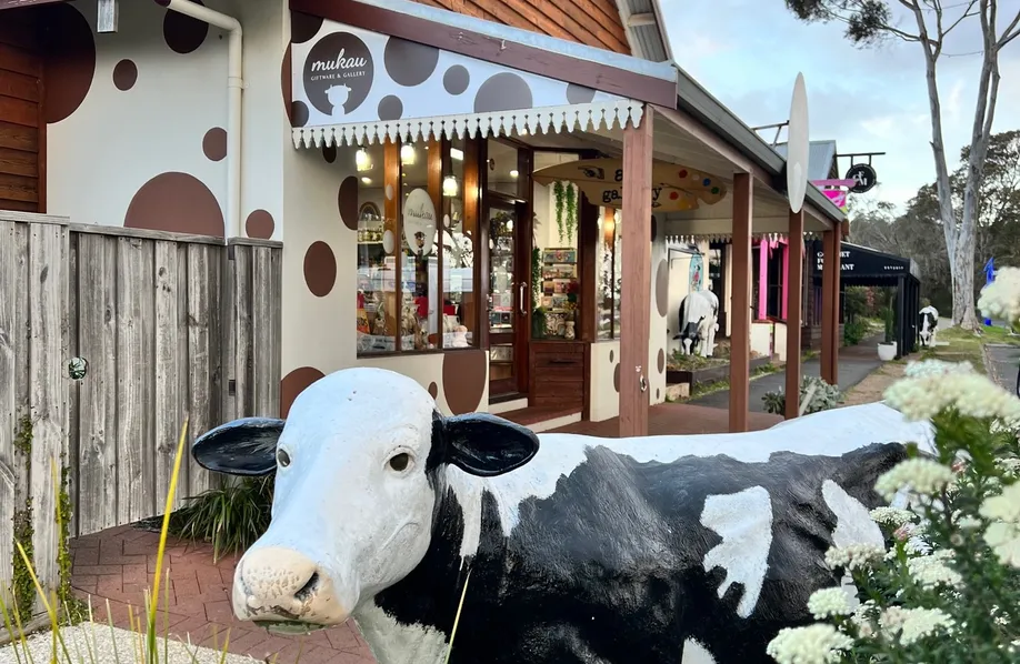 Lifesize fibreglass cow outside homewares store in the town of Cowaramup